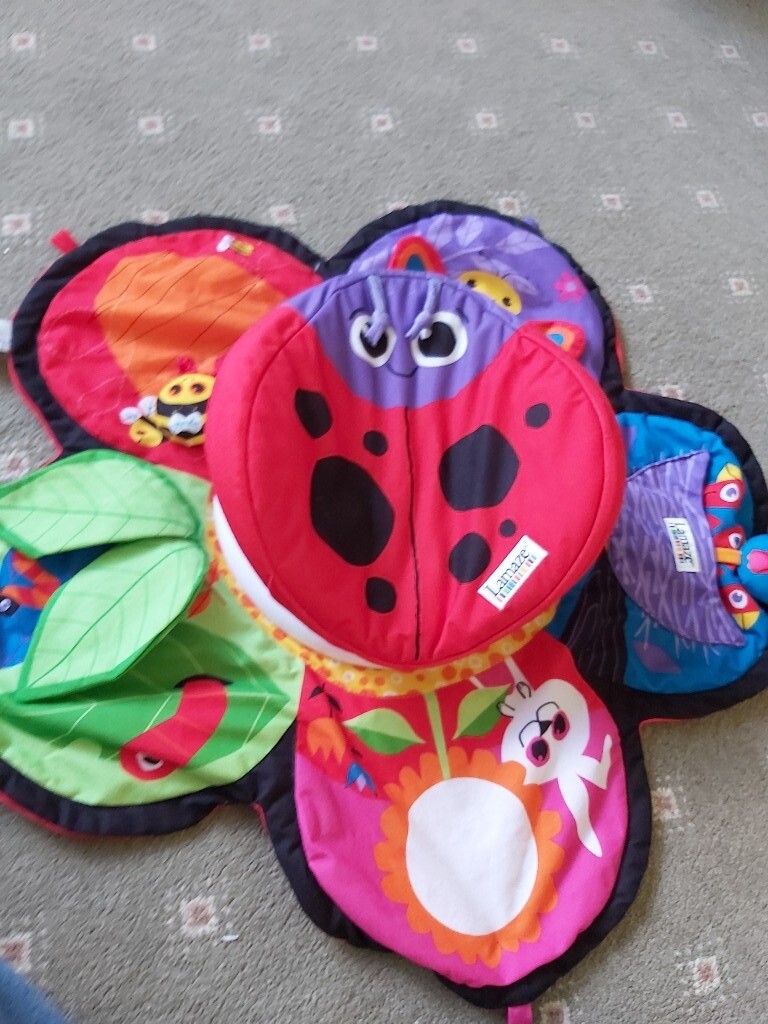 lamaze ladybird spin